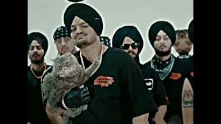 Same Beef X Sidhumoosewala