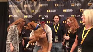 Stray dog becomes unofficial mascot of Hot Springs Documentary Film Festival