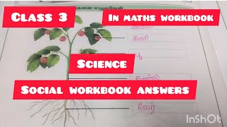 Term 2 Class 3 Science and social workbook answers (Malar maths workbook) Ennum Ezhuthum