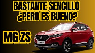 MI OPINION SOBRE EL MG ZS que problema esconde