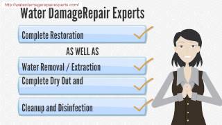 Wet Basement Repair,Plainfield,IL,Chicago  (312) 646-4460 Emergency Services