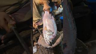 Amazing Tripletail Fish Cutting Skills In Fish Market By Expert Cutter