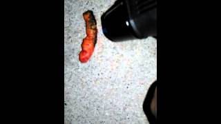 how to make a fire with hot cheeto