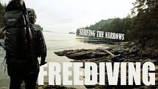 Freediver Captures Sea Lion Surfing in Dodd Narrows | Nanaimo, BC