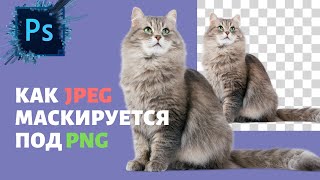 Как пользоваться PNG в Photoshop