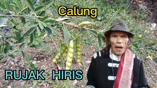 Calung RUJAK HIRIS ( Titim Patimah) Cover by Baban Asgar