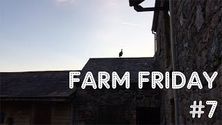 A LOUD ONE | FARM FRIDAY #7