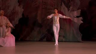 Vladimir Shklyarov  Variation of the Nutcracker Prince - Act 2