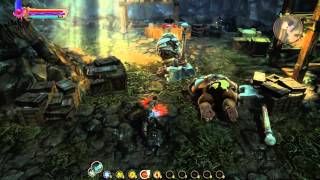 Kingdom of Amalur: Reckoning Stealth Finesse