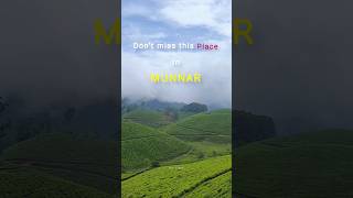 Never miss this place in munnar| Best weather in kerala| Travel through the gap road #trendingshorts