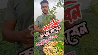 সয়াবিন বিজ কখন পাবেন |দাম কেমন |#shots #shortvideo #business_idea_24