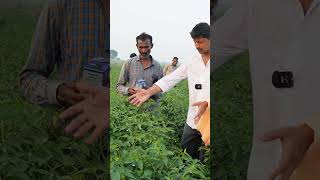 #kannada #farmer #Genius pro and #Nakshatra Plus super result #No #virus #super -10 Verity #Raichur