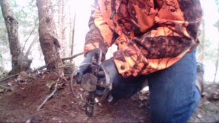 Trapline Check - Porcupine Release