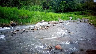 NO ADS 🌊 Gentle Water Flowing Over Rocks |  Crystal Clear Stream | 8 Hours Nature Sounds 4K