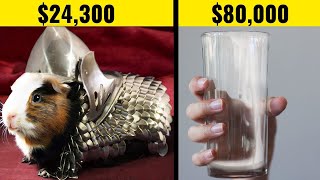 10 Most Ridiculous Things People Bought On eBay For A Fortune!