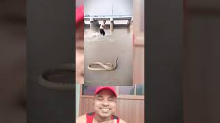 yah bhai ne kya pakad liya #funny #vairal #funnyrels #comedyvideos #reels #comedy #shots #shorts