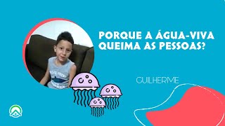 Por que a água-viva queima as pessoas? #65