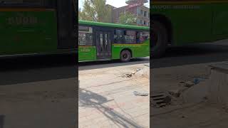 green bus