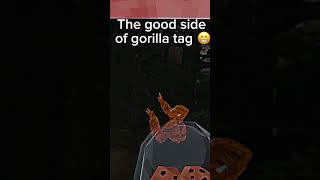 The good side of Gtag…#gorillatag #oculusquest #gtagglitch #viral #gorillatagvr #gorillatagmods