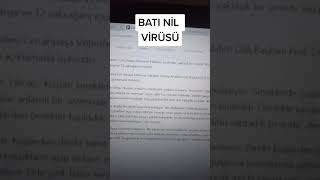 batı nil virüsü nedir? #shorts