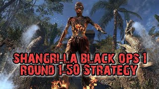 Shangri-La Black Ops 1 Round 1-50 Strategy