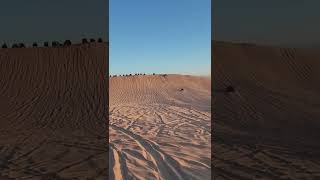 Sunset At Silver Lake Sand Dunes