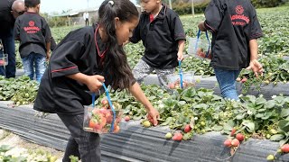 School Tours at Redberry Farm