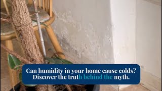 The truth about humidity and colds: how to keep your home healthy and dry