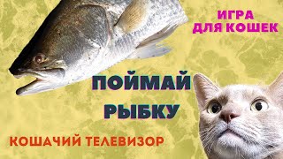 Видео-игра для кошек на экране - 🐳ПОЙМАЙ РЫБКУ🐳. Кошачий телевизор. Развлечение для ваших кошек 🐳🐳