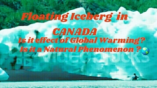 Effects of Global Warming