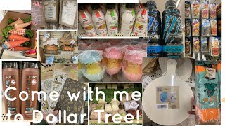 Come with me for another Dollar Tree walkthrough. Let’s see what is new!