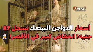 أسعار الدواجن البيضاء تسجل 87 جنيه انخفاض ملحوظ في الأقصر! 🐔