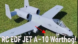 A-10 Warthog: Discover the Power of Freewing A-10 Twin 80mm RC Jet