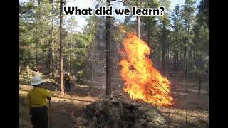 Effects of burning piles