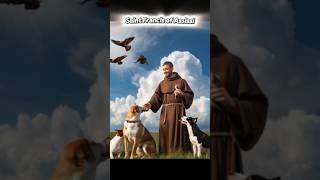 Saint Francis of Assisi #saintfrancisofassisi #sanfrancisco #prayer #fyp #catholic #dog #cat #fypシ゚