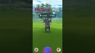 Luxray found in the wild through daily incense! ⚡🐺 #pokemongo #shorts (👍🏾 & Subscribe for more!)