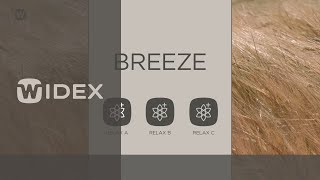 Widex SoundRelax™ Fractal Tone - Breeze | Widex Moment hearing aids