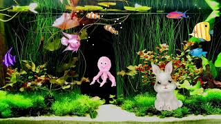 The Fish and magical Rabbit #animated #englishstories #kidsvideo #shortsvideo