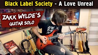 Black Label Society - A Love Unreal (guitar solo cover)