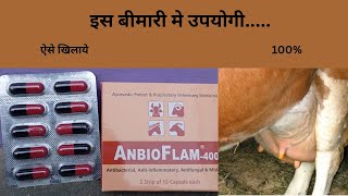 anbioflam-400 || anbioflam 400 capsule use in veterinary || indian herbs