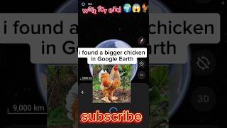 🤯omg😳 i found a bigger chicken in Google Earth 😱 #shorts #trending #googleearth #viral #feed #funny