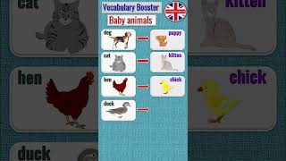 #Vocabulary Booster #Baby Animals #Enlarge Your Vocabulary!