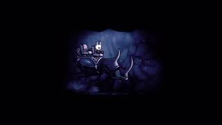 HOLLOW KNIGHT road to PLATINUM