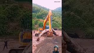 dead fish in excavator #excavator #alatberat #ekscavator #automobile #ekcavator #escavator #shorts