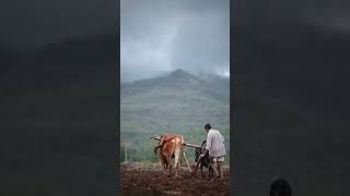 Farmer  WhatsApp Status Video | Short Video | @Yt-ERROR