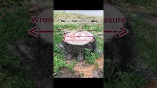 How to measure a stump | Proper way to measure a stump | Right way to measure a stump #shorts