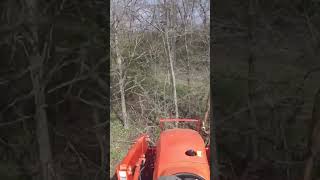 Intense Tree Extraction: Stump Bucket Pulls Tree, Thorn Bush Mishap | YouTube Short