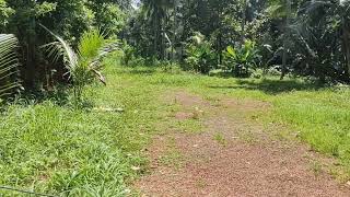 14 cent plot near Mundikkal Thazham CWRDM Bypass only 5 lakhs/cent