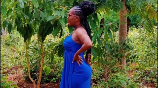 African princess Milka is live! support for WH