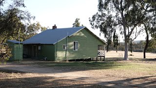 Dryandra Woodland, Western Australia. A visit to my own back yard